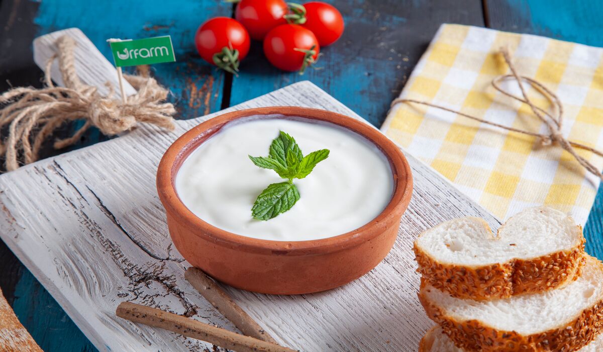 Yogurt